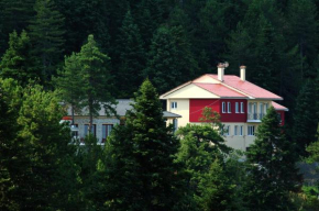 Гостиница Salvia  Коница